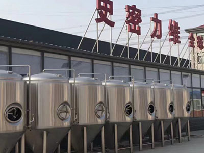 宁远精酿啤酒设备厂—如何判断精酿啤酒设备的密封件需要更换？